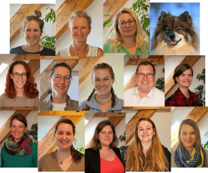 Teamfoto